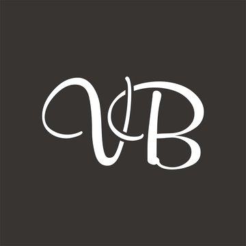 VB logo letter design template vector