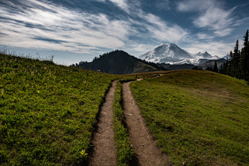 Path to Mt. Baker