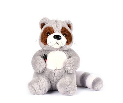 Raccoon ?hildren soft toy on white background