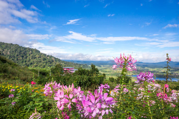 the flower garden, surrounded by mountains and nature.