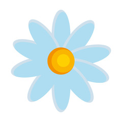 beautiful flower isolated icon