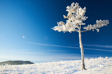 Winter in the Karkaraly Mountains. Karkaraly mountains - a mountain range in the Karaganda region of Kazakhstan.