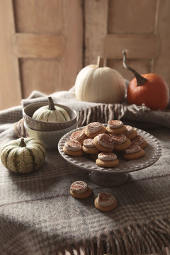 Little pumpkins cookies on tray with pumpkins and gourds