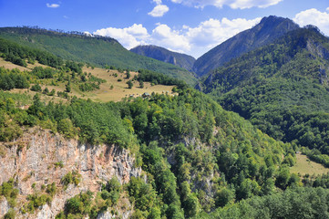 Fototapeta premium Montenegro. The Tara river canyon