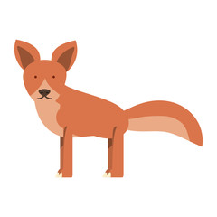 cartoon fox icon