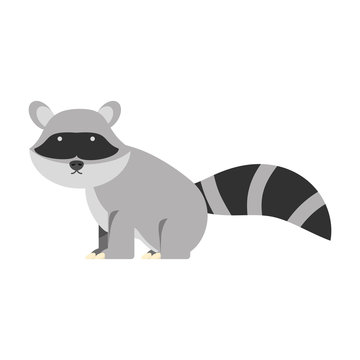 cartoon raccon icon