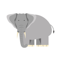 Fototapeta premium cartoon elephant icon