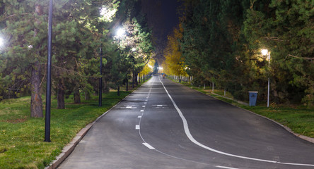 Fototapeta na wymiar A night alley in a park with lighting