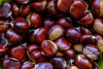 Obraz premium Castagne