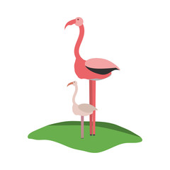 flamingo icon image