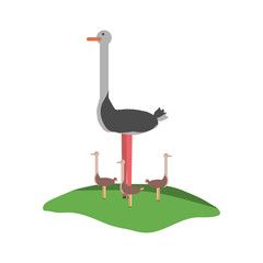 cartoon ostrich icon