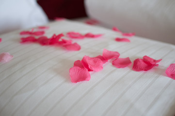 rose leaves on bed