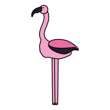flamingo icon image