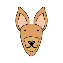 cartoon fox icon