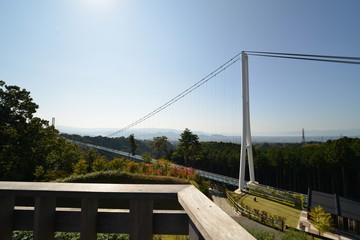 三島スカイウォーク