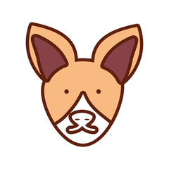 cartoon fox icon