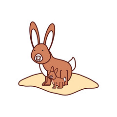 cartoon rabbit icon