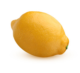 One lemon, isolated on a white background.