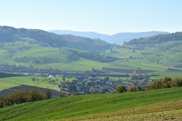 Fototapeta na wymiar Landschaft Wiesen und Felder Arisdorf