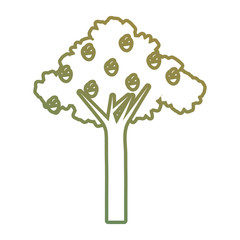 tree icon image