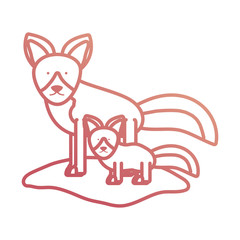 cartoon fox icon