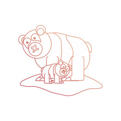 cartoon bear icon