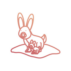 cartoon rabbit icon