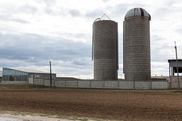 Obraz premium A large cattle farm. The state farm supplies milk and meat to the entire Volgograd region.