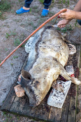 Obraz premium Burning a domestic pig before cutting. Removal of pig hair.