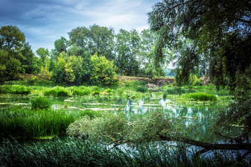 Calm river in the summer morning with green trees on background. Toned, style photo.