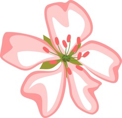 Stylized pink flower with five petals on white background