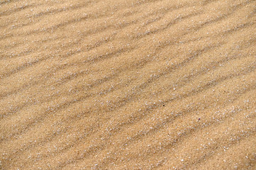 Sands on the beach. A beach is a landform along a body of water. It usually consists of loose particles, which are often composed of rock, such as sand, gravel, shingle, pebbles.