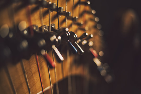Harp in Close Up