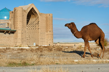 Types of the city of Turkestan. Turkestan, is a city in the South Kazakhstan Region of Kazakhstan,...