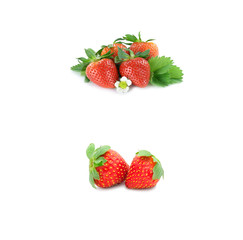 Strawberry isolated on white background. Fresh berry