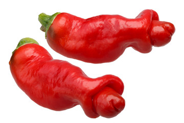 Peter Penis Pepper C. annuum, paths