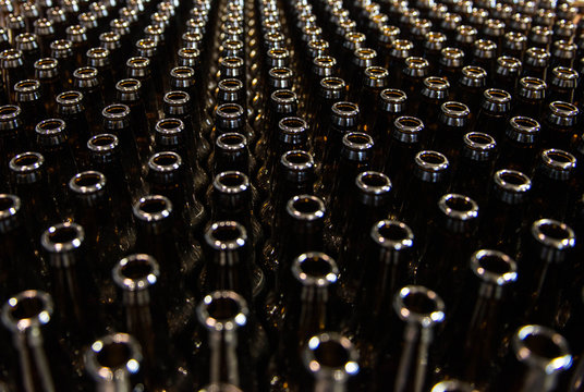 Dozens of empty glass beer bottles are arranged in rows at a brewery