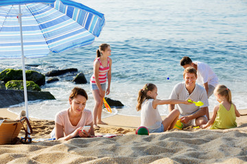  Woman looking at her mobile phone while her family  playing on beach