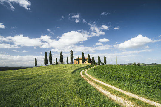 Traditional farm in Tuscany during spring