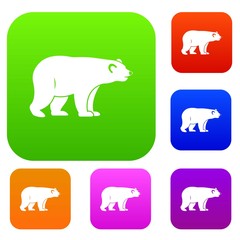 Wild bear set color collection