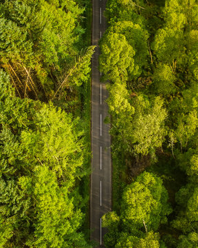 An aerial view of a small rural road bisecting a natural deciduous forest in Scotland.
