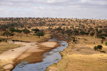 Safari Tarangire Nationalpark Tansania