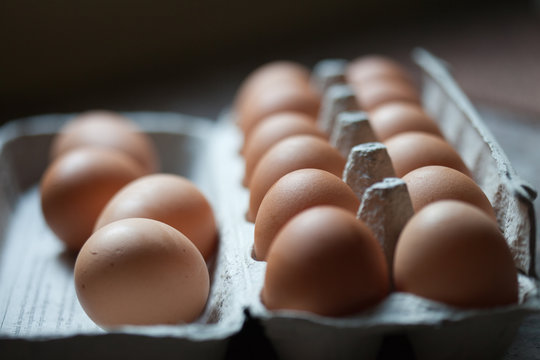Organic brown eggs in their carton