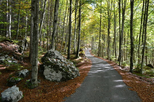Claut - Dolomiti Friulane