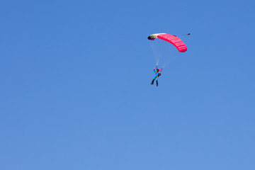 skydiver  on black and pink parachute in summer day