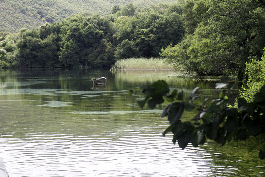  The Springs Of Lake Ohrid