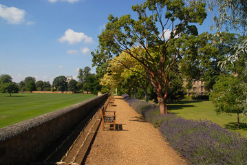 Wall between Fellows Garden of Merton College and Merton Field, Oxford