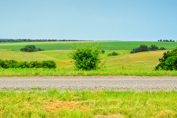 Fototapeta na wymiar Rural landscape in the summer.