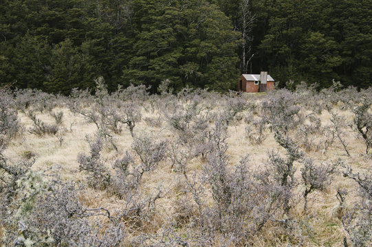 Trust / Poulter Hut, Arthur's Pass National Park, New Zealand.