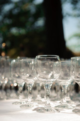 A row of empty champagne glasses